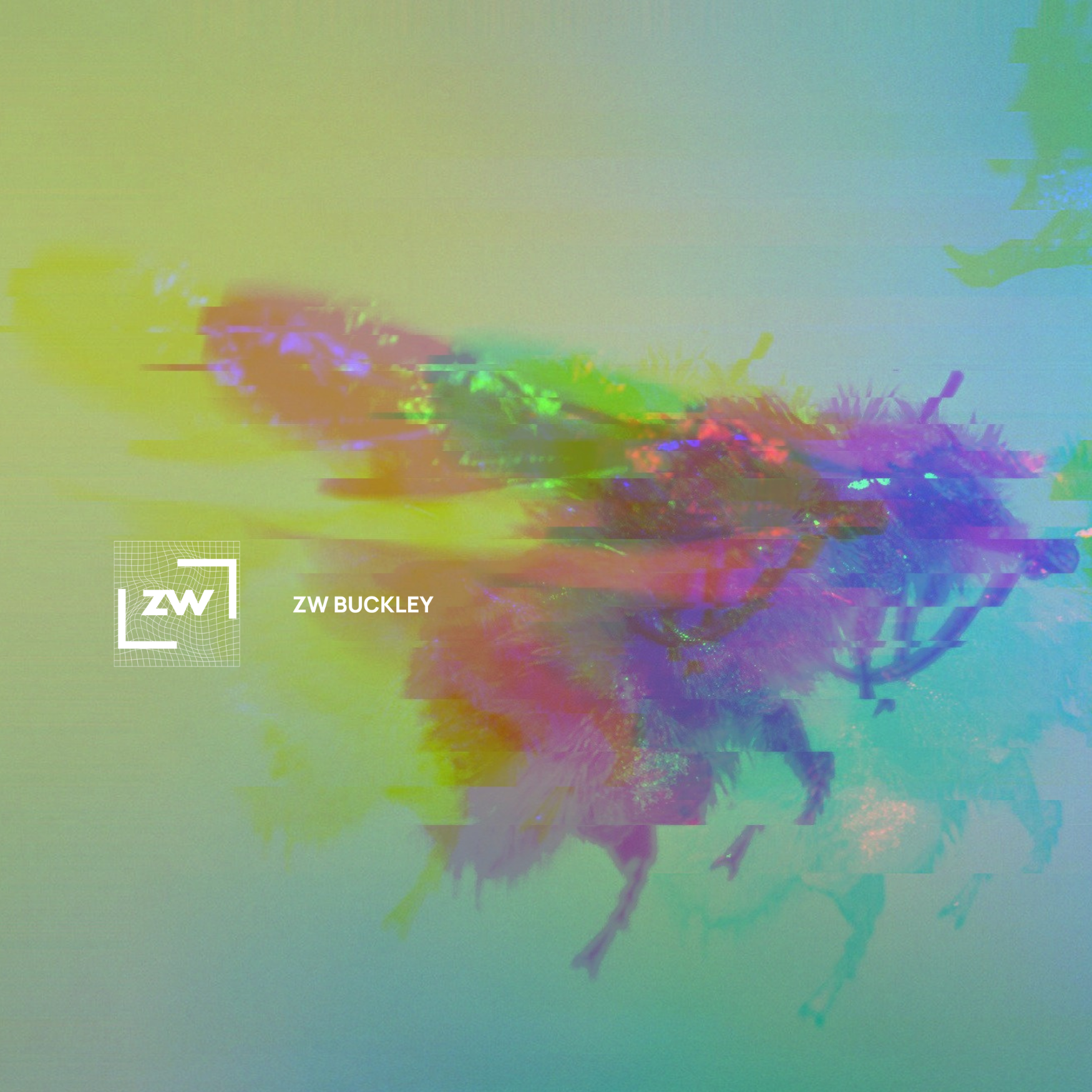 image of a glitched out bee